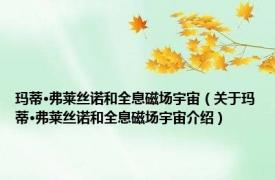 玛蒂·弗莱丝诺和全息磁场宇宙（关于玛蒂·弗莱丝诺和全息磁场宇宙介绍）