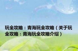 玩全攻略：青海玩全攻略（关于玩全攻略：青海玩全攻略介绍）