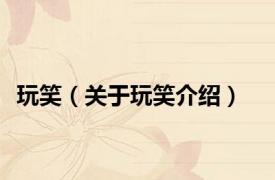玩笑（关于玩笑介绍）