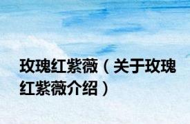 玫瑰红紫薇（关于玫瑰红紫薇介绍）