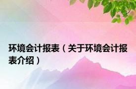 环境会计报表（关于环境会计报表介绍）
