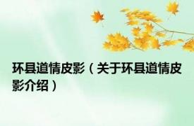 环县道情皮影（关于环县道情皮影介绍）