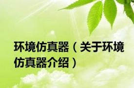 环境仿真器（关于环境仿真器介绍）