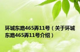 环城东路465弄11号（关于环城东路465弄11号介绍）