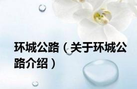 环城公路（关于环城公路介绍）
