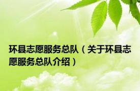 环县志愿服务总队（关于环县志愿服务总队介绍）