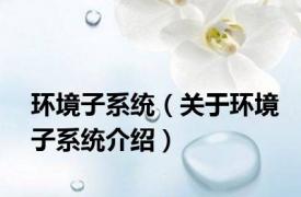 环境子系统（关于环境子系统介绍）