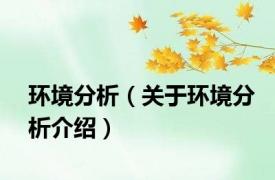 环境分析（关于环境分析介绍）