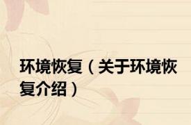 环境恢复（关于环境恢复介绍）