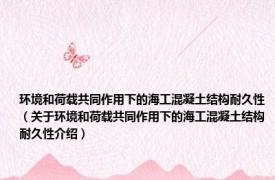 环境和荷载共同作用下的海工混凝土结构耐久性（关于环境和荷载共同作用下的海工混凝土结构耐久性介绍）