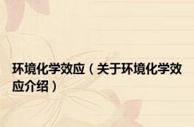 环境化学效应（关于环境化学效应介绍）
