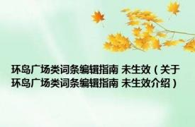 环岛广场类词条编辑指南 未生效（关于环岛广场类词条编辑指南 未生效介绍）