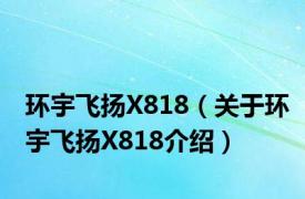 环宇飞扬X818（关于环宇飞扬X818介绍）