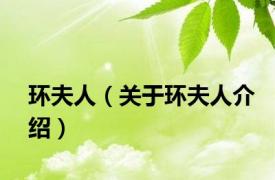 环夫人（关于环夫人介绍）