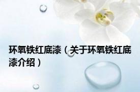 环氧铁红底漆（关于环氧铁红底漆介绍）