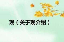 现（关于现介绍）