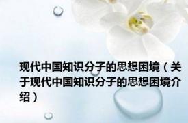 现代中国知识分子的思想困境（关于现代中国知识分子的思想困境介绍）