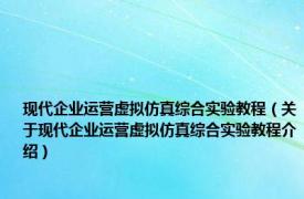 现代企业运营虚拟仿真综合实验教程（关于现代企业运营虚拟仿真综合实验教程介绍）