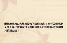 现代废黄河口大规模侵蚀下沉积物源-汇作用及其机制（关于现代废黄河口大规模侵蚀下沉积物源-汇作用及其机制介绍）