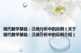 现代数学基础：泛函分析中的反例（关于现代数学基础：泛函分析中的反例介绍）