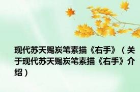 现代苏天赐炭笔素描《右手》（关于现代苏天赐炭笔素描《右手》介绍）