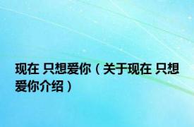 现在 只想爱你（关于现在 只想爱你介绍）