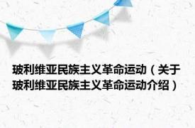 玻利维亚民族主义革命运动（关于玻利维亚民族主义革命运动介绍）