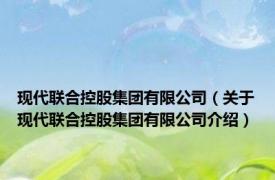 现代联合控股集团有限公司（关于现代联合控股集团有限公司介绍）