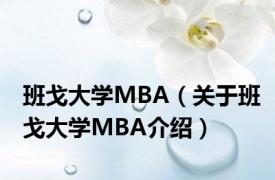 班戈大学MBA（关于班戈大学MBA介绍）