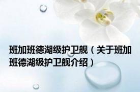 班加班德湖级护卫舰（关于班加班德湖级护卫舰介绍）