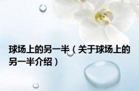 球场上的另一半（关于球场上的另一半介绍）