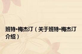 班特·梅杰汀（关于班特·梅杰汀介绍）