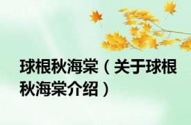 球根秋海棠（关于球根秋海棠介绍）