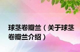 球茎卷瓣兰（关于球茎卷瓣兰介绍）