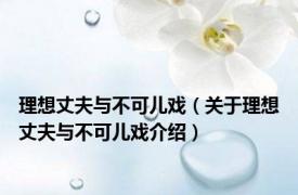 理想丈夫与不可儿戏（关于理想丈夫与不可儿戏介绍）