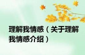 理解我情感（关于理解我情感介绍）