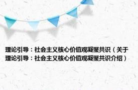理论引导：社会主义核心价值观凝聚共识（关于理论引导：社会主义核心价值观凝聚共识介绍）