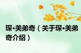 琛·美弟奇（关于琛·美弟奇介绍）