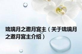 琉璃月之邀月宫主（关于琉璃月之邀月宫主介绍）