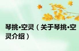 琴挑·空灵（关于琴挑·空灵介绍）