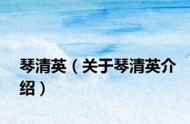 琴清英（关于琴清英介绍）