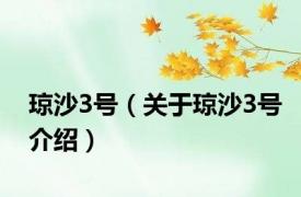 琼沙3号（关于琼沙3号介绍）