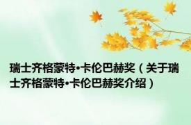 瑞士齐格蒙特·卡伦巴赫奖（关于瑞士齐格蒙特·卡伦巴赫奖介绍）