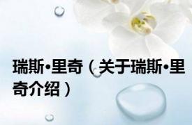 瑞斯·里奇（关于瑞斯·里奇介绍）