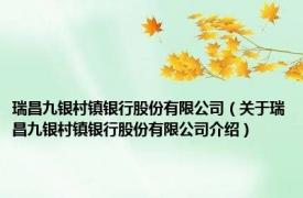 瑞昌九银村镇银行股份有限公司（关于瑞昌九银村镇银行股份有限公司介绍）