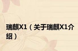 瑞麒X1（关于瑞麒X1介绍）