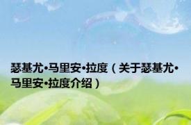 瑟基尤·马里安·拉度（关于瑟基尤·马里安·拉度介绍）