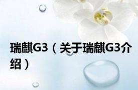 瑞麒G3（关于瑞麒G3介绍）