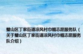 璧山区丁家街道凉风村巾帼志愿服务队（关于璧山区丁家街道凉风村巾帼志愿服务队介绍）