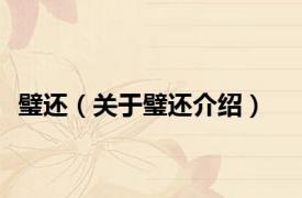 璧还（关于璧还介绍）